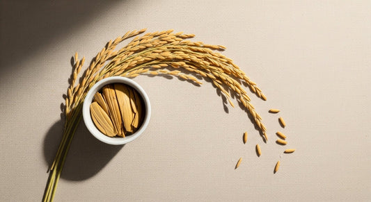 米発酵化粧品の魅力とは？乾燥肌に寄り添う保湿ケア