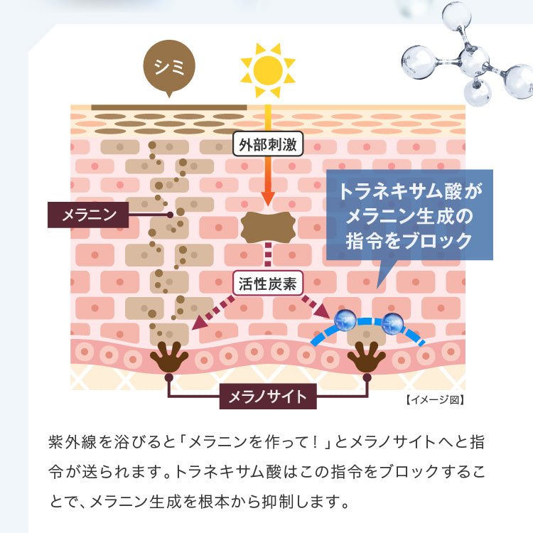 スキンベビー 美白美容液 トラネキサム酸 ビタミンC誘導体 50ml 【医薬部外品】｜みずみずしい透明感ある肌へ。 - 公式 スキンベビー オンラインショップ